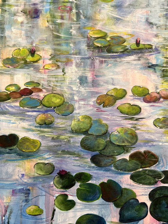 Water Lilies At Sunset 1