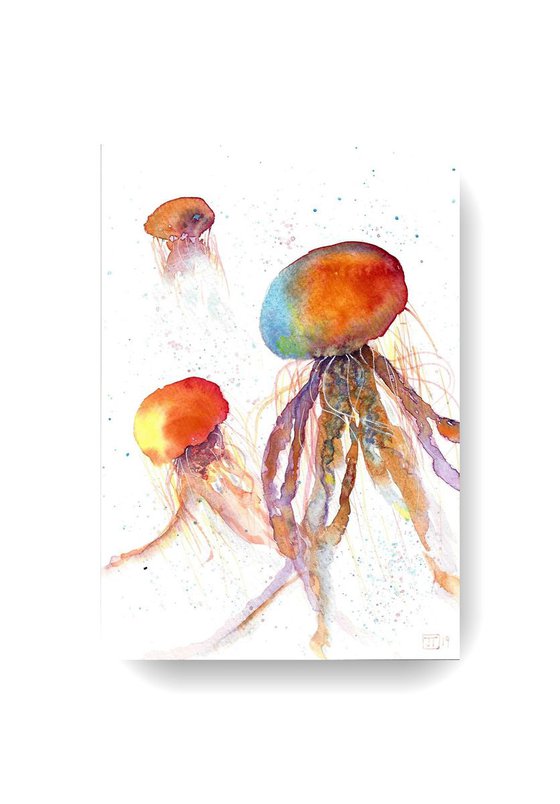 Colorful jellyfish