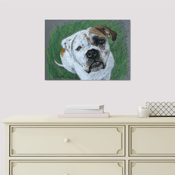 Dog V... American Bulldog /  ORIGINAL PAINTING