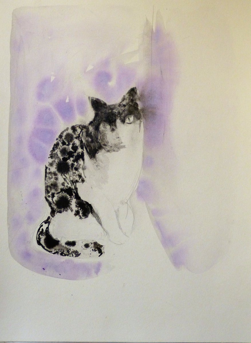 The Cat in purple, 29x42 cm by Frederic Belaubre