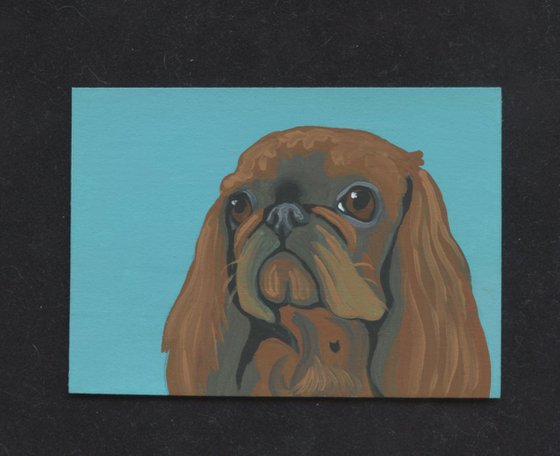 ACEO ATC Original Miniature Painting English Toy Spaniel Pet Dog Art-Carla Smale