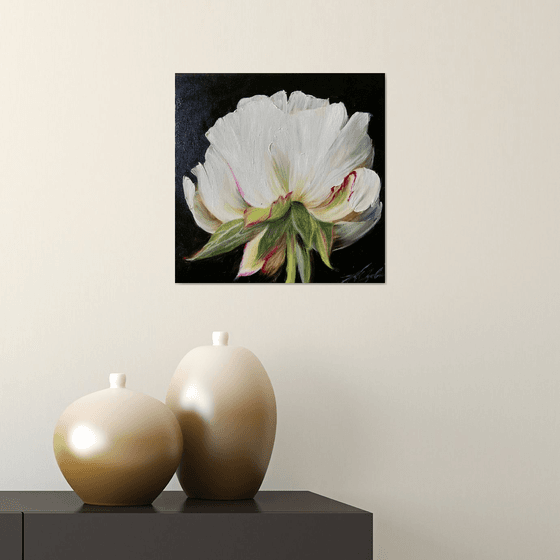 Peony is a symbol of love