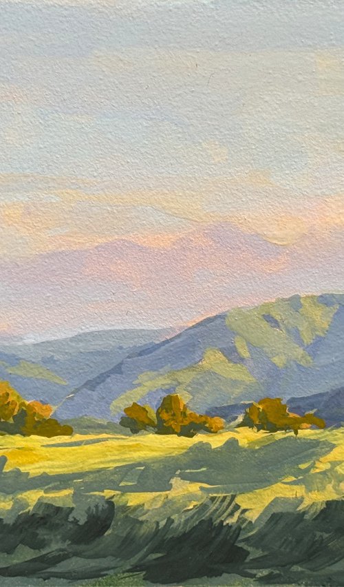 Afternoon Light Temecula Hills by Tatyana Fogarty