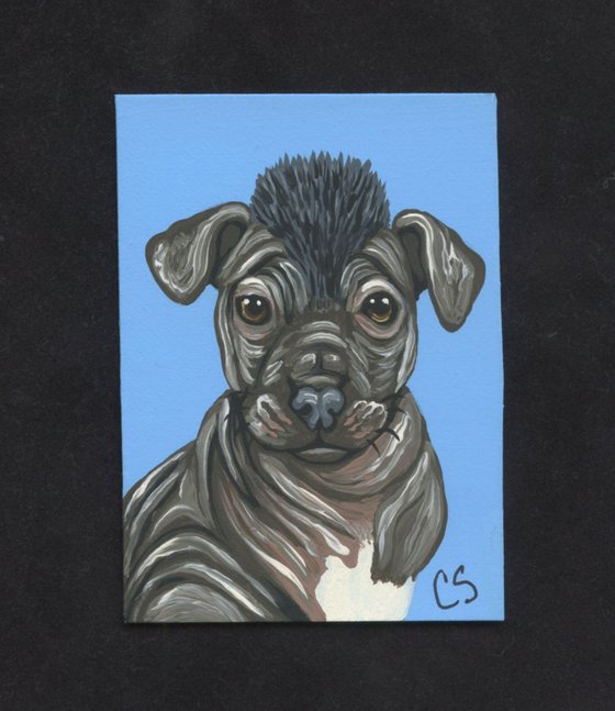 ACEO ATC Original Painting XOLO Mexican Hairless Pet Dog Art-Carla Smale