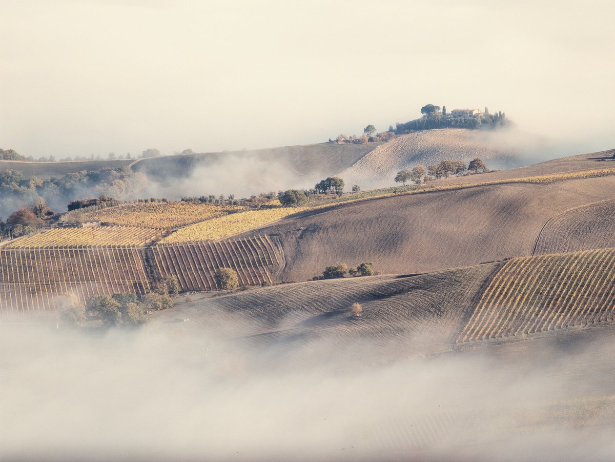 San Giovese fields by Pavel Oskin