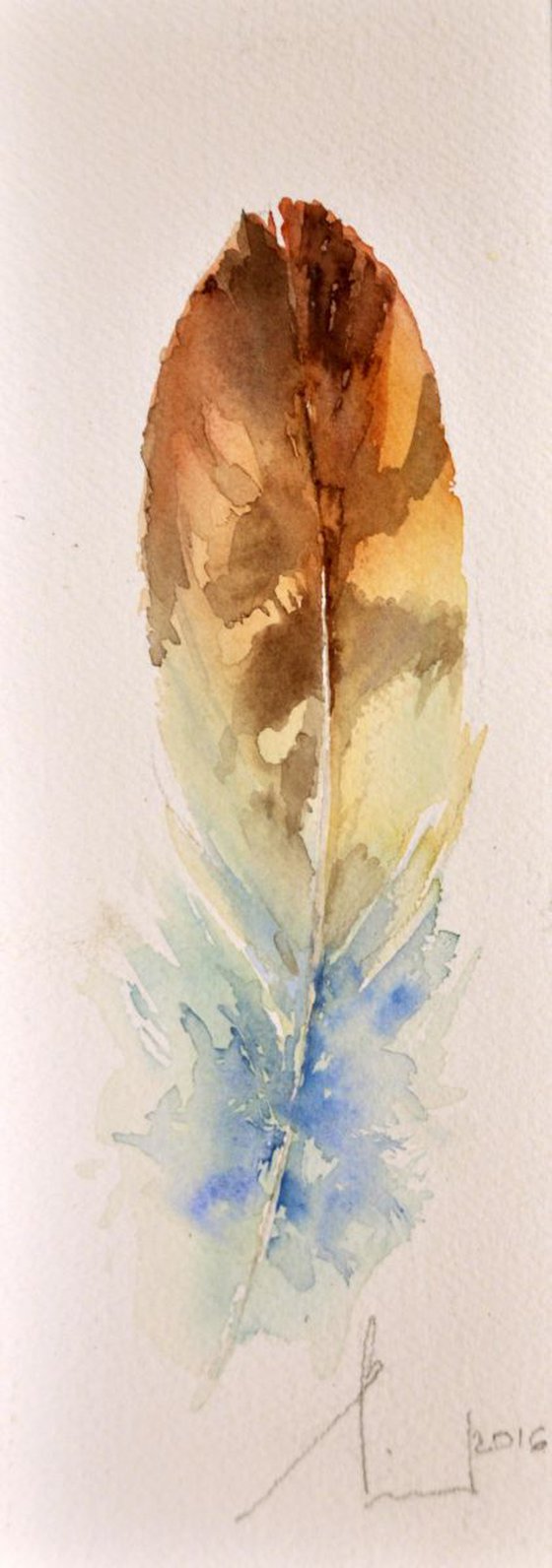 FEATHER watercolour miniature