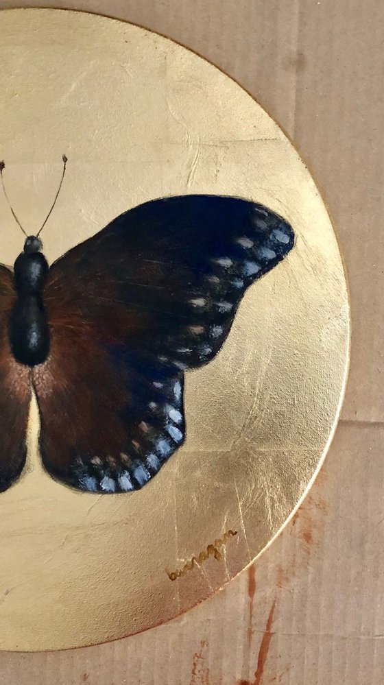 Dark Brown Butterfly Oil Painting on  Fine Italian Canvas Frame
