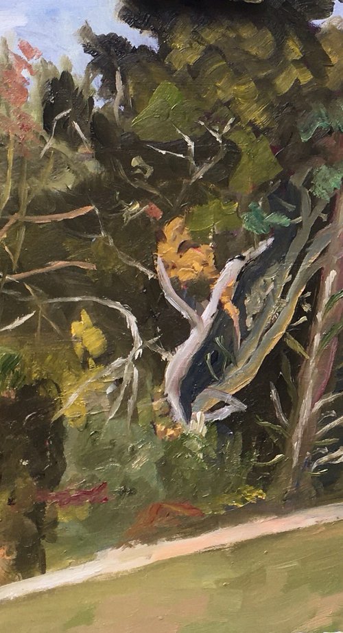 Coastal Trees beside a path by Julian Lovegrove Art