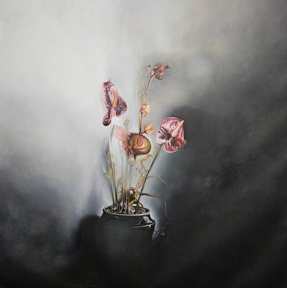ANTHURIUM