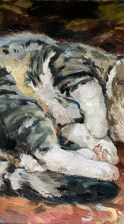 Grandma's cat by Elena Utkina