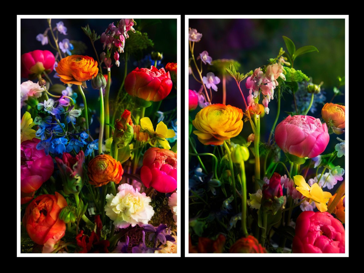 Impressionistic Botanical Photograph By Viet Ha Tran, 31 X 24", Gardens Of Hope, Original Artwork