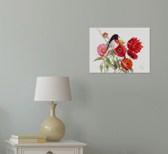 rose-breasted grosbeak and Zinnia Flowers