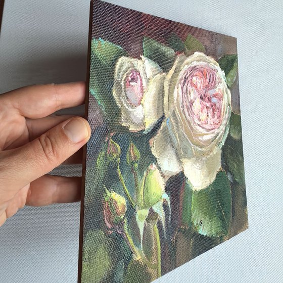 Pink roses still life