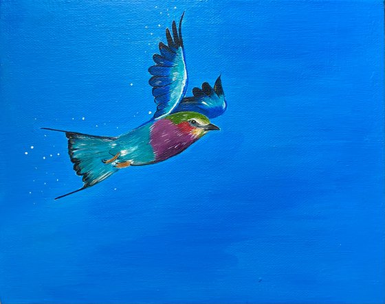 Lilac breasted roller in flight painting