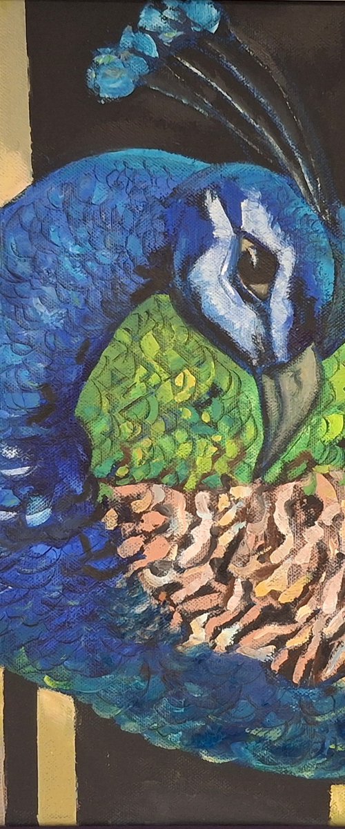 Peacock by Galya Koleva