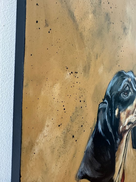 Derek the dachshund