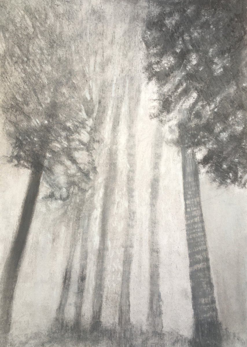 Trees at Erringden by Ian Allred