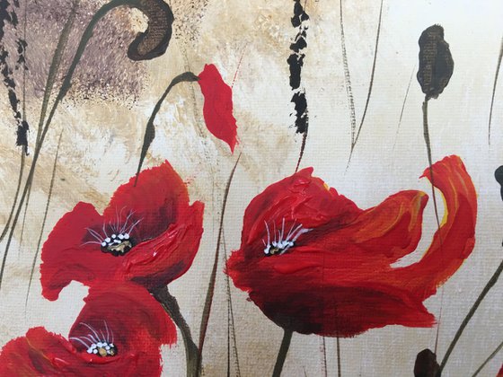 Red Poppies under a stormy sky