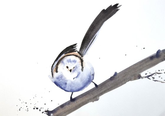 Aegithalos caudatus Bird
