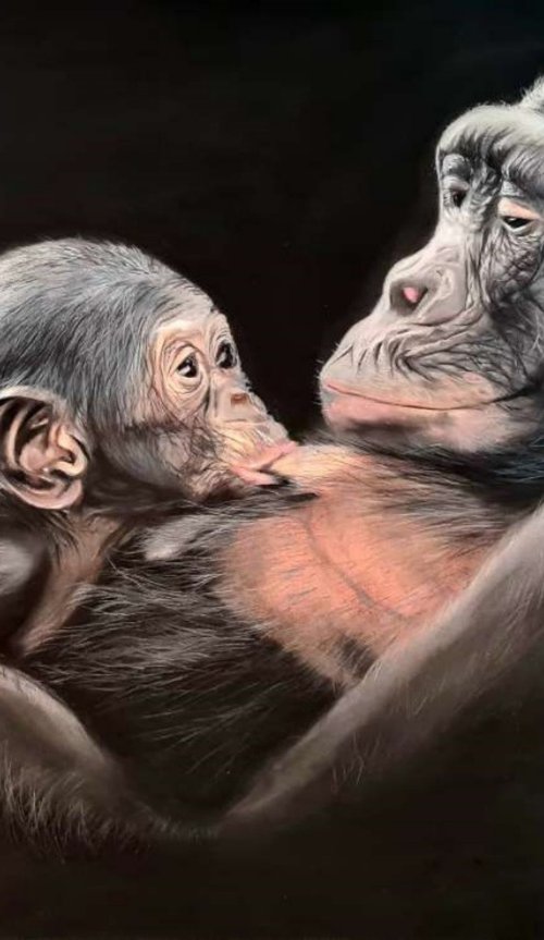 ,, Mother's Love'' realism gorillas pastel on pastelmat by Deimante Bruzguliene