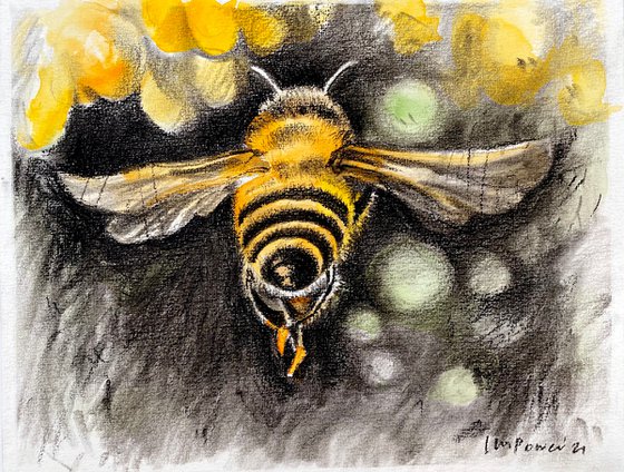 Charcoal Honey Bee