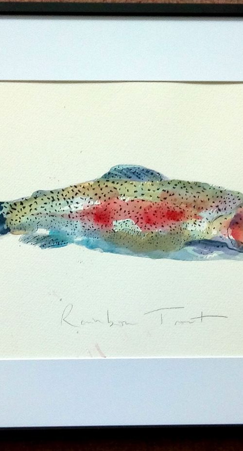 Rainbow Trout Fish by Hannah Clark