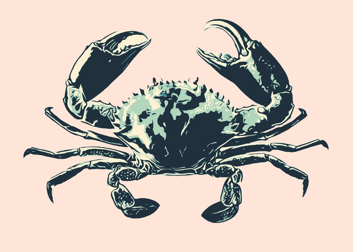 Crab | 27,6x19,7 (70x50 cm) by Kosta Morr