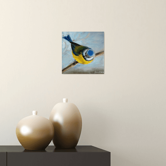 Wildlife Art Blue Tit Bird Painting  Blue Yellow White Chickadee Art Original Oil on Canvas