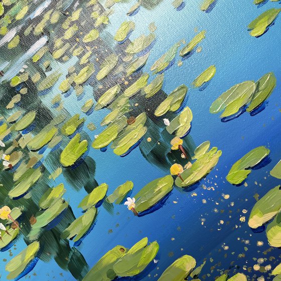 Water lilies on the mirror