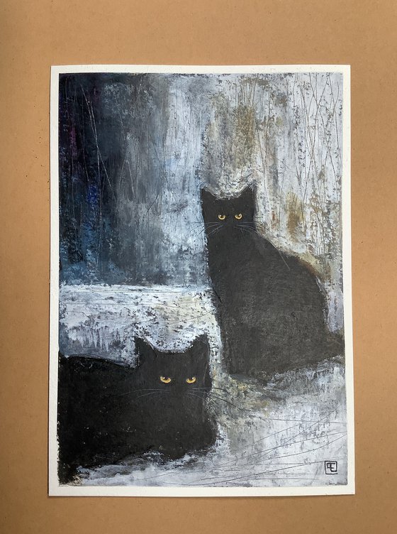 CHATS NOIRS