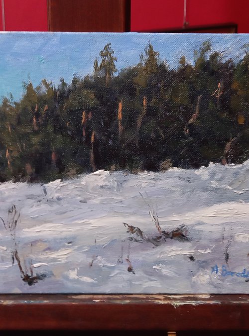 Frosty by Andrea Bocedi