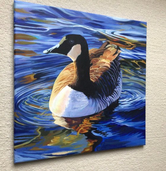 Canada Goose On The Serpentine