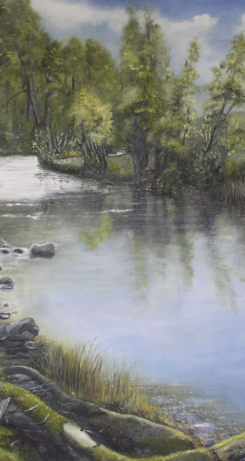 Stream at Buckfastleigh by John Barrett