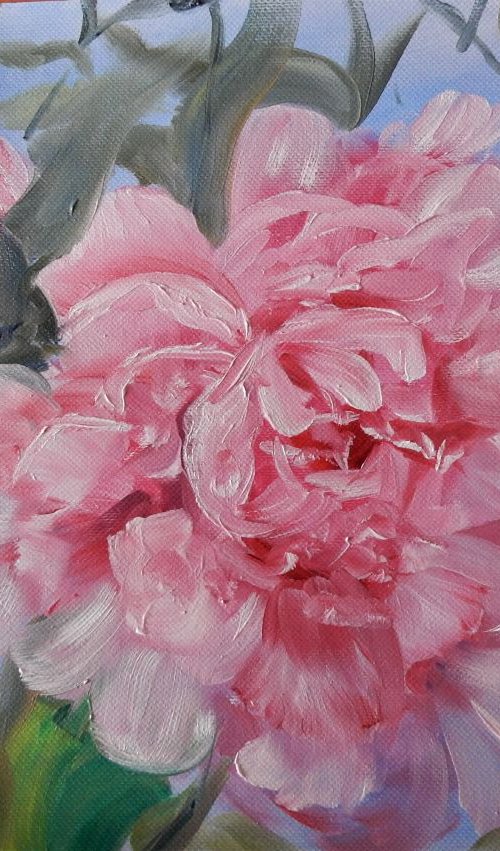 Pink Peonies flowers by Vita Schagen