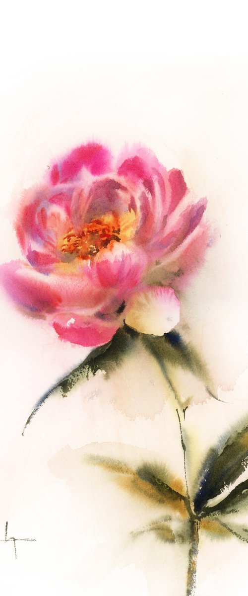 Pink Peony by Sophie Rodionov