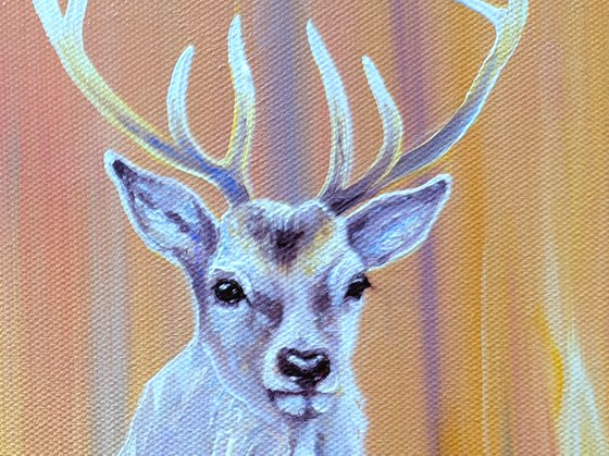 Nascent Stag