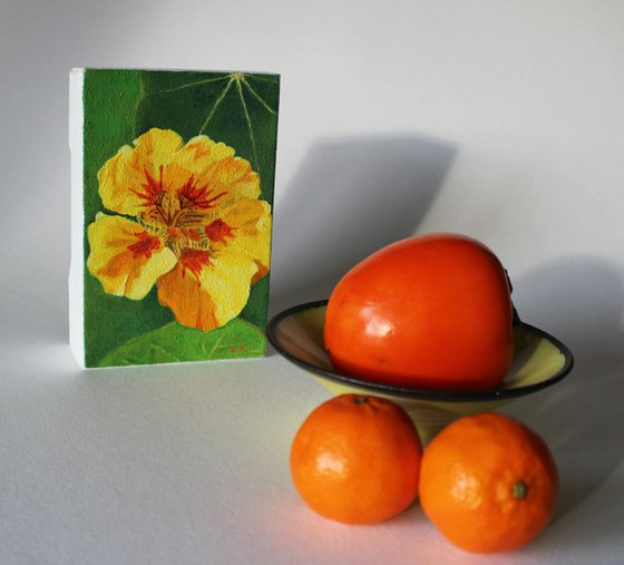 Nasturtium