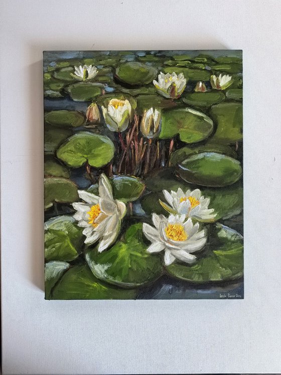 Water lilies