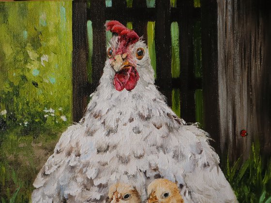 Mother hen and her chicks
