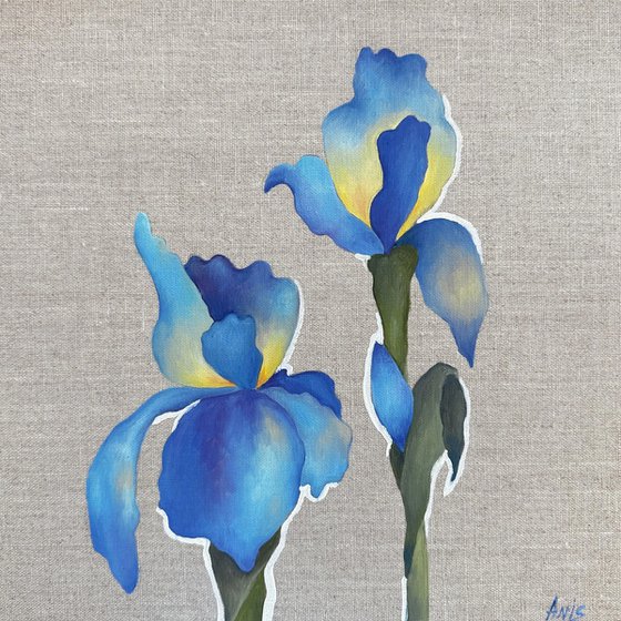 Blue Iris