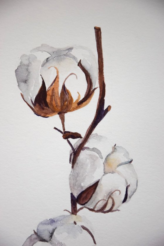 Set of 2 COTTON bolls watercolor paintings, Flowers abstract, Shabby Chic wall art