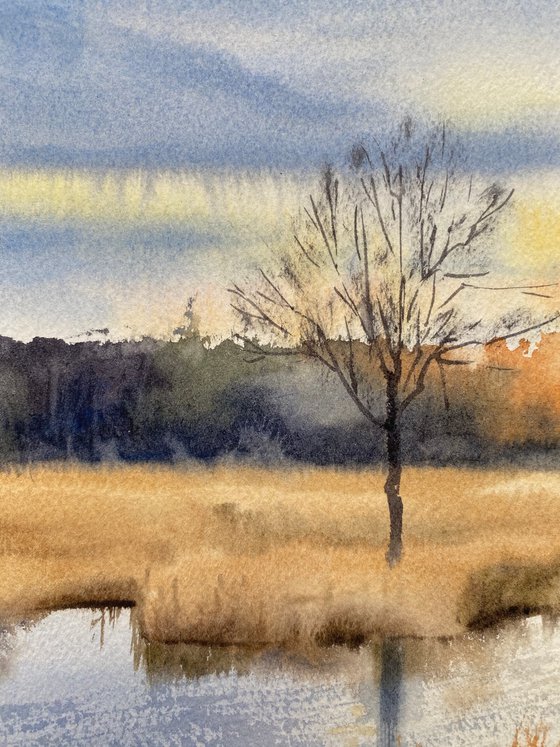 Autumn sun