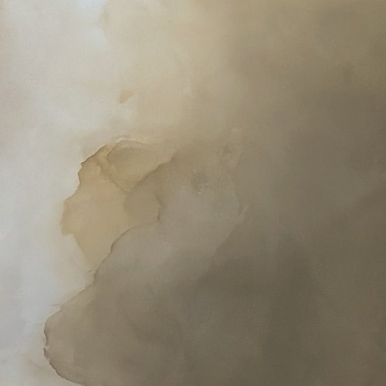 Veiled Brilliance