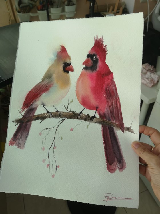 Cardinal Conversation