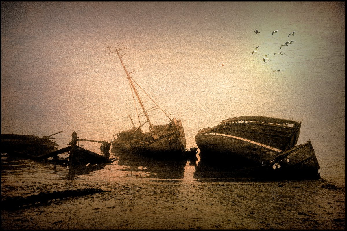 Beach of Wrecks by Martin Fry
