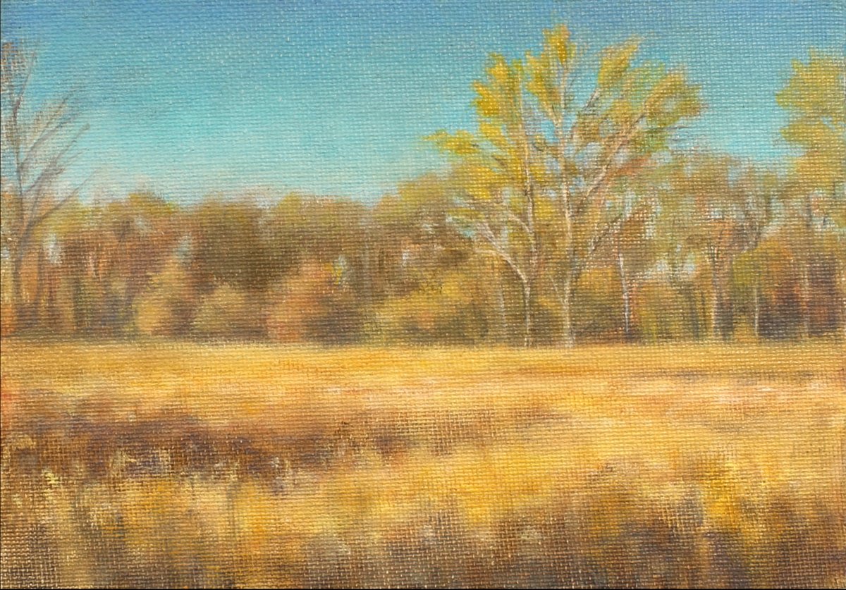 Impressionistic Landscape Oil Painting By John Fleck, 7 X 5, Autumn Prairie And Trees, Original Artwork