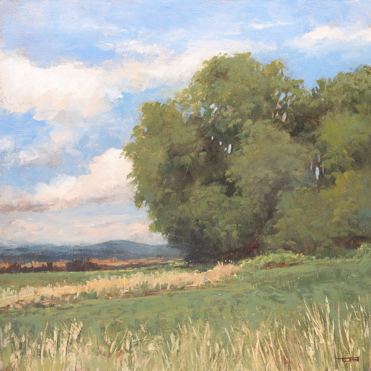 Impressionistic Landscape Oil Painting By Don Bishop, 12 X 12, Summer Trees 250614, Original Artwork