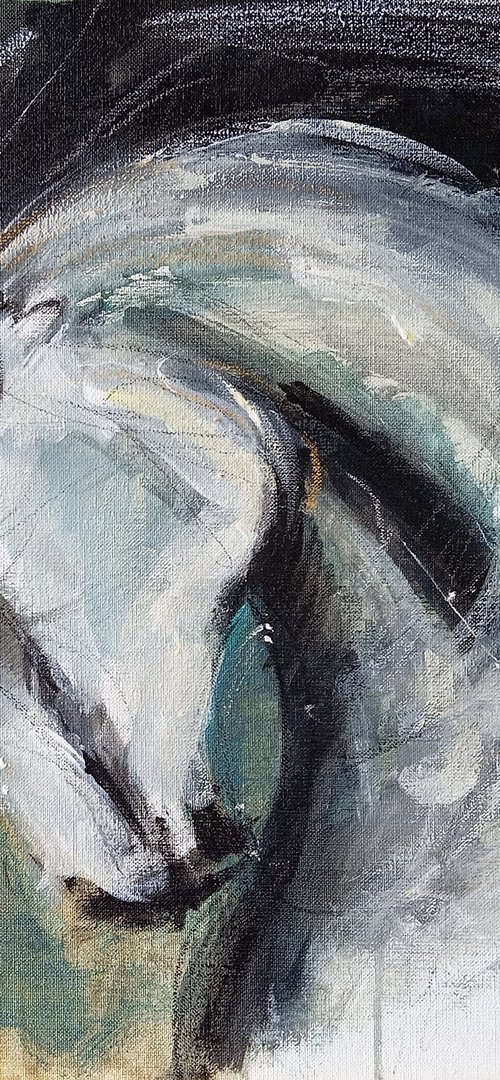 Caballo (study) by Catalin Ilinca