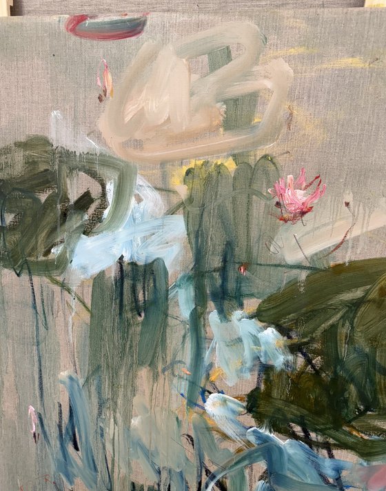 Lily pond. An early morning