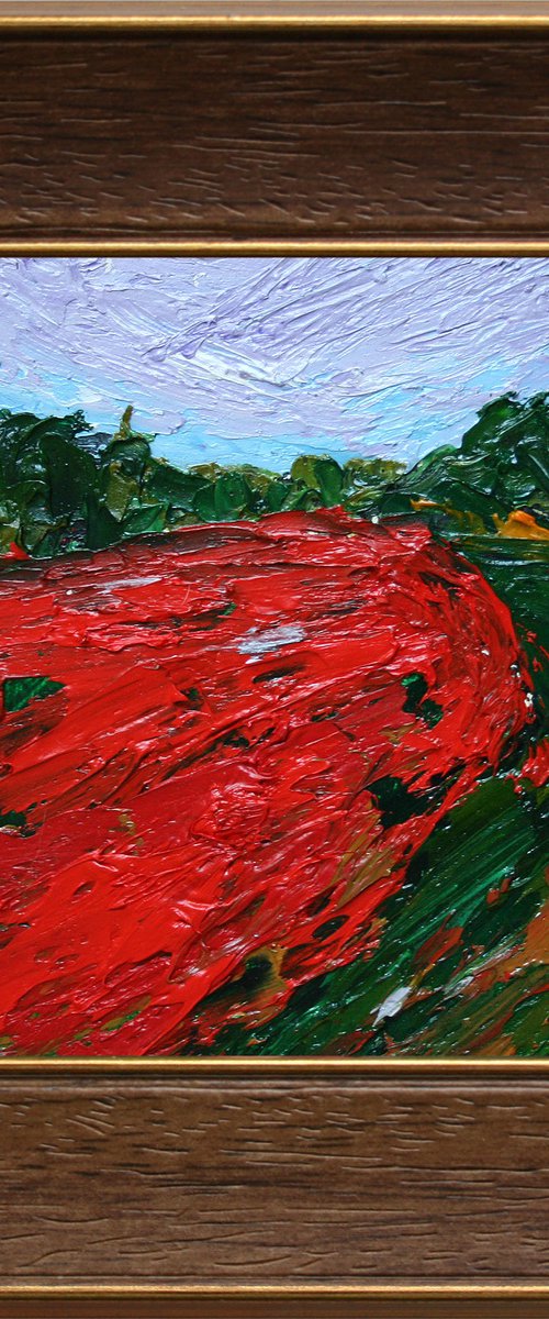 Poppy fields IV by Salana Art Gallery